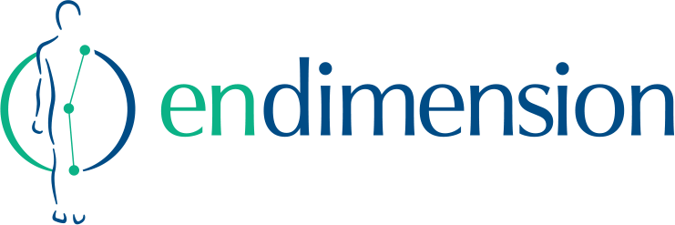 Endimension Technology 