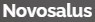  Novosalus Technologies Pvt Ltd 